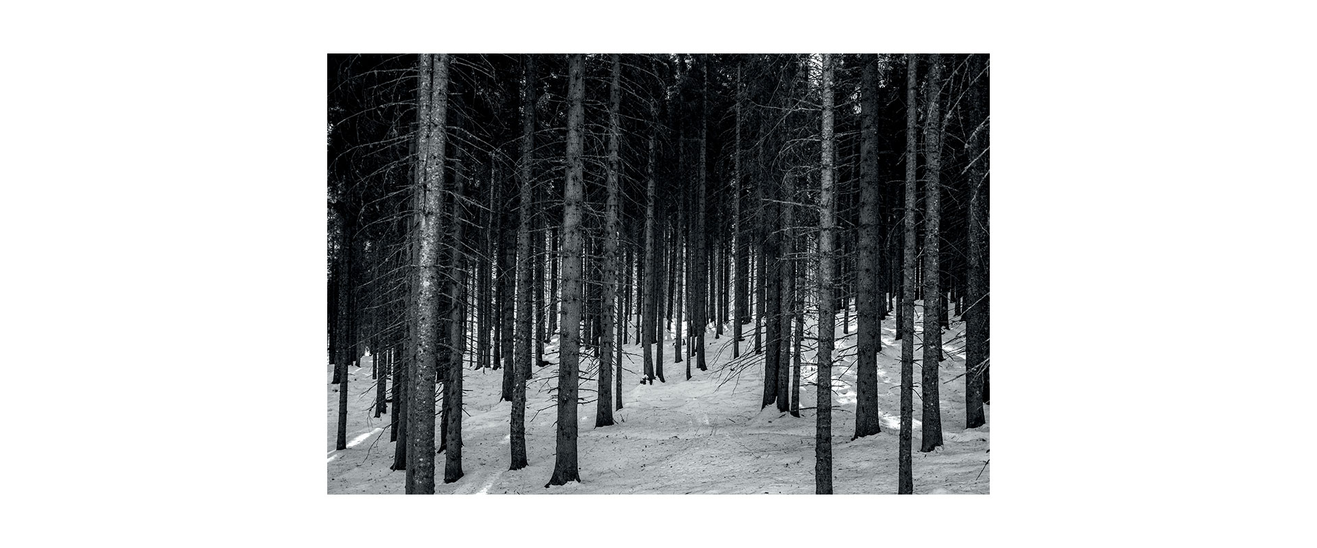 pholio-1920x800-internio-snowsnap-4.jpg