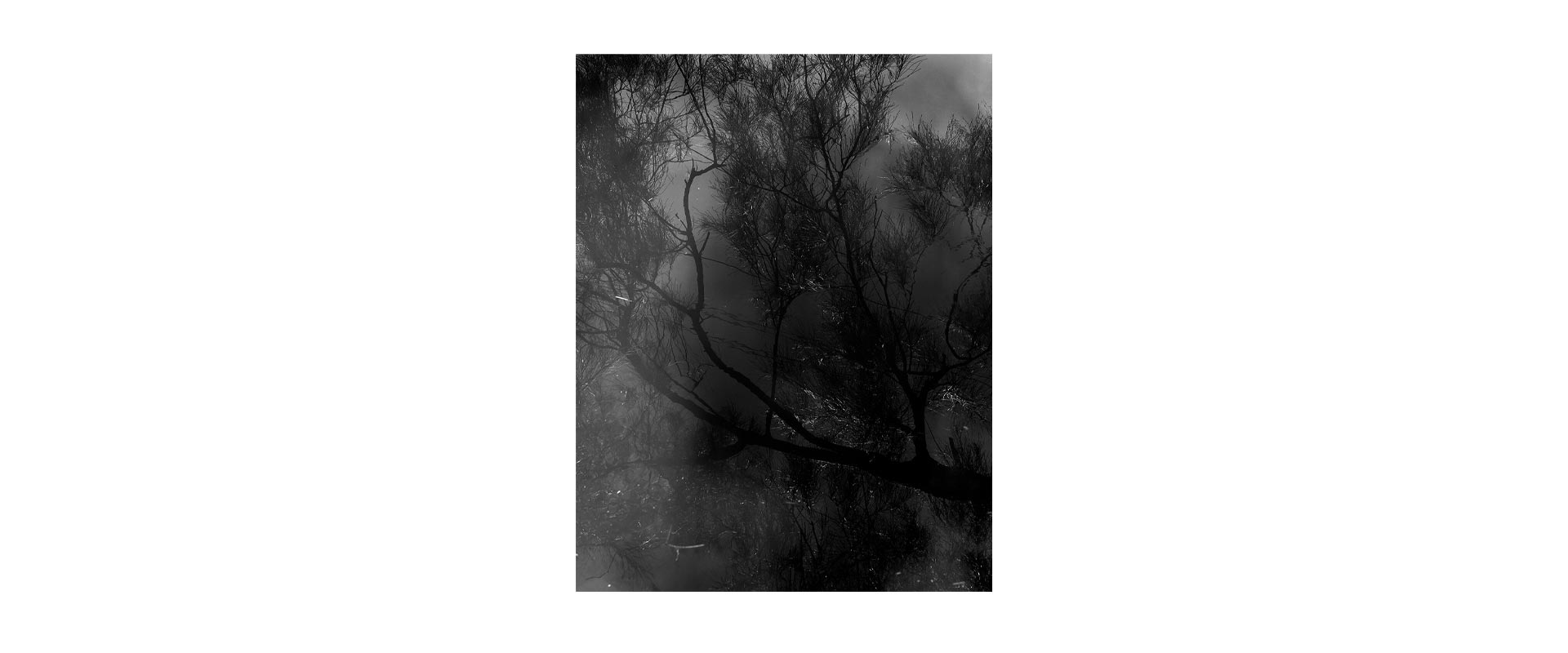 pholioTGPublishing-1920x800-Intimate-8.jpg